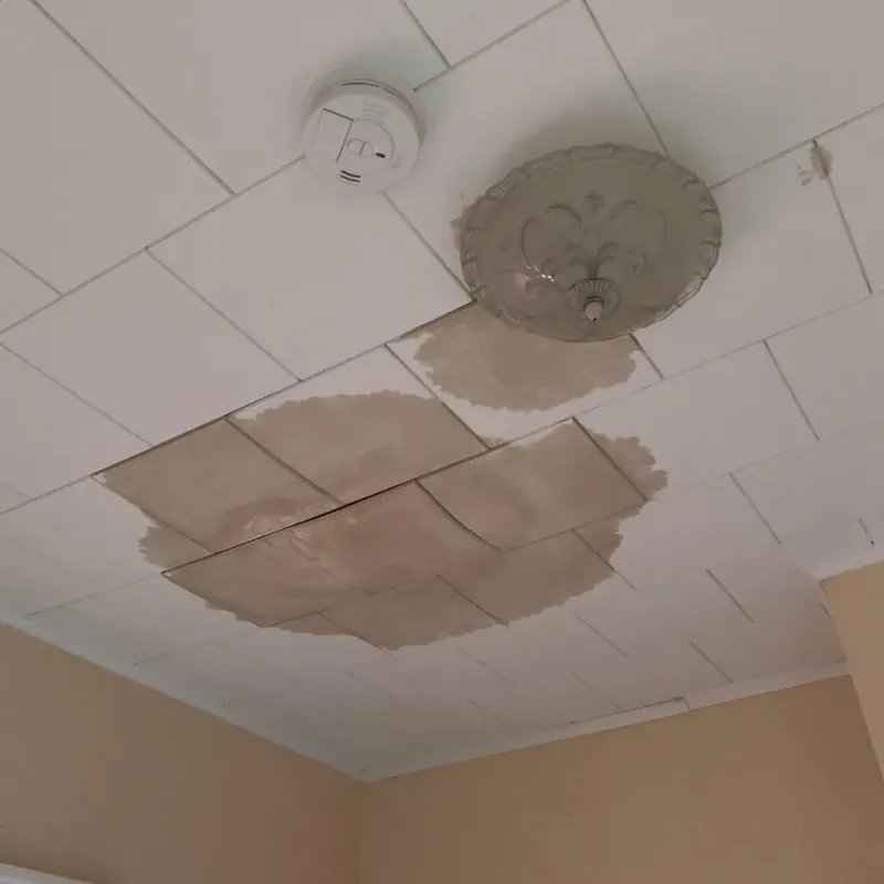 Ceiling Water Damage Repair in McPherson County, SD