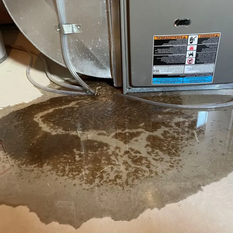 Pipe Burst and Leak Restoration in McPherson County, SD